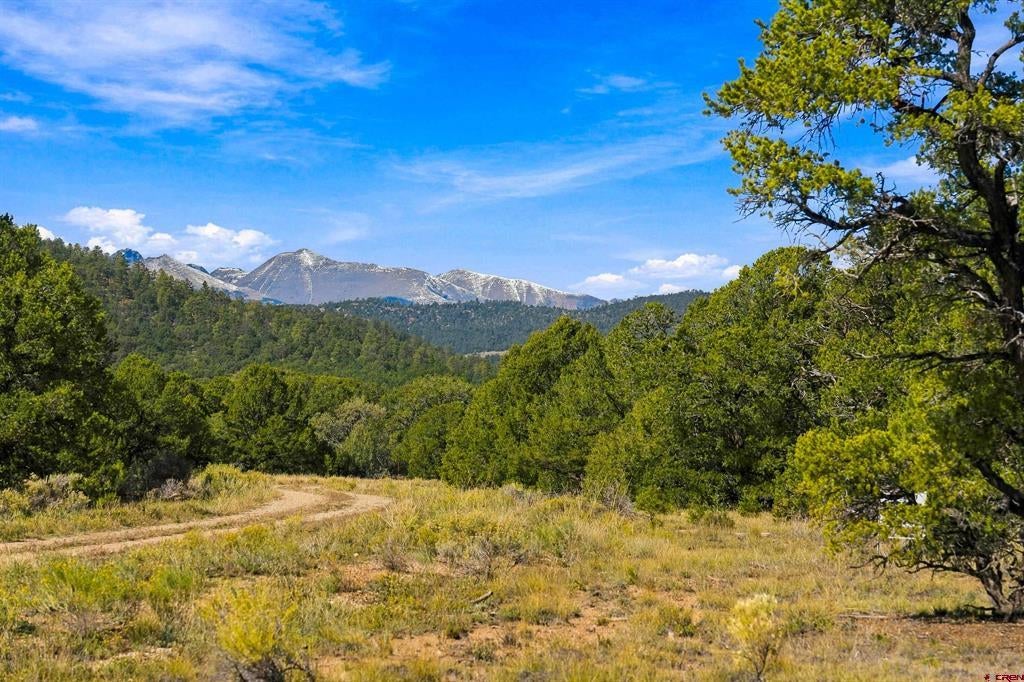 TBD Milligan Ranch Lot 4 Lane