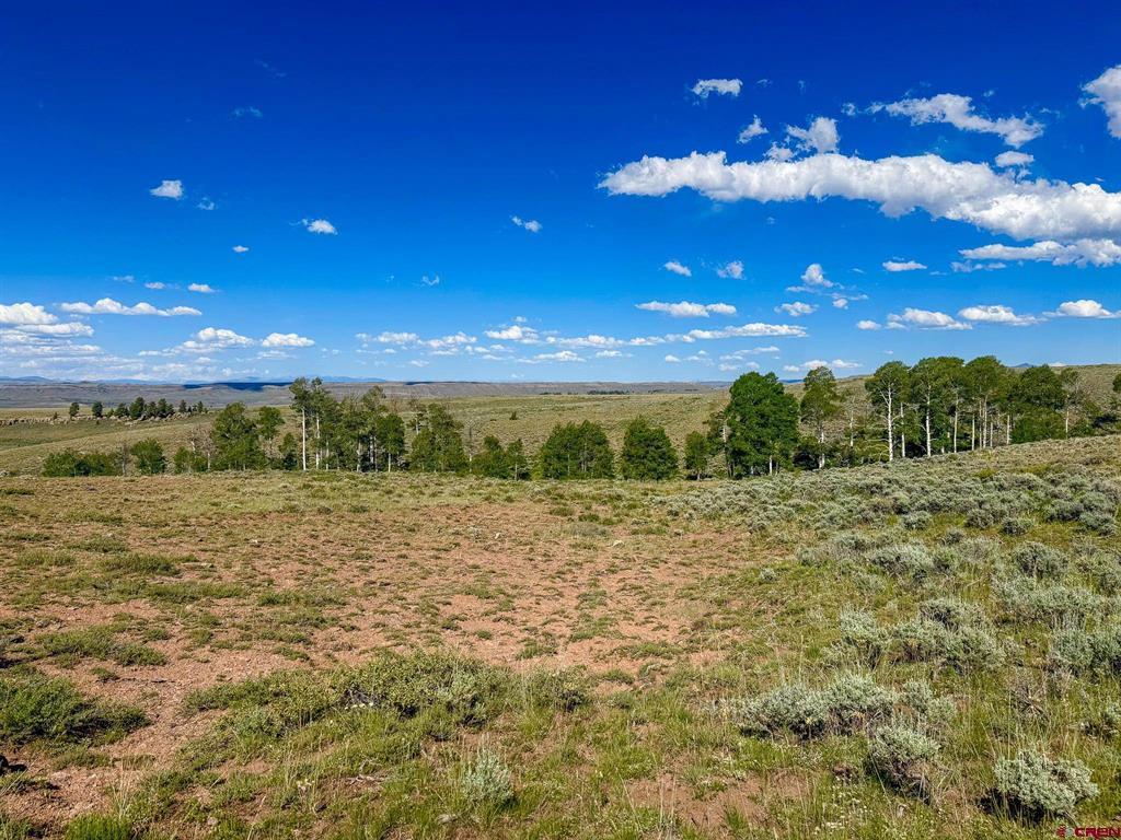 TBD County Road 25 Road