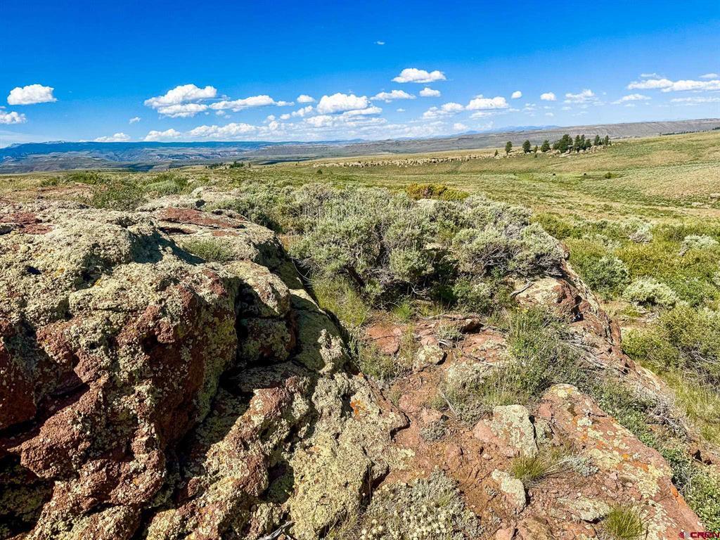 TBD County Road 25 Road