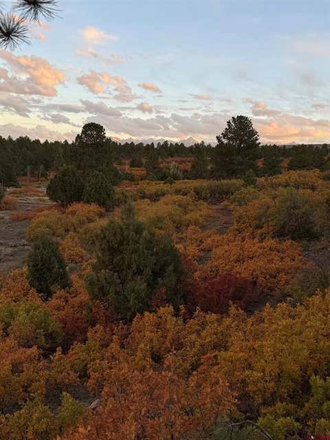 Photo of TDB Homestead Government Springs Road Roads, Montrose, CO 81403 (MLS # 837837)