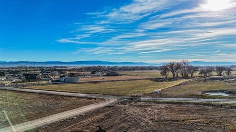 Photo of 8 Bronco Court, Delta, CO 81416 (MLS # 830624)