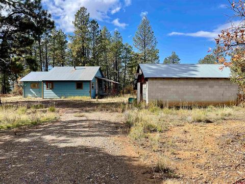307 Deer Trail Road Durango CO 81303