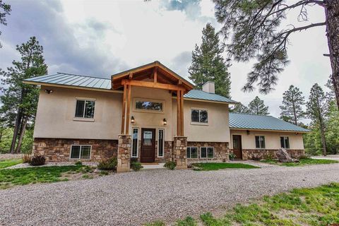 620 Majestic Drive Pagosa Springs CO 81147