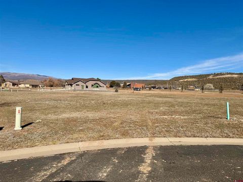 Photo of 320 SE Flagstone Court, Cedaredge, CO 81413 (MLS # 831467)