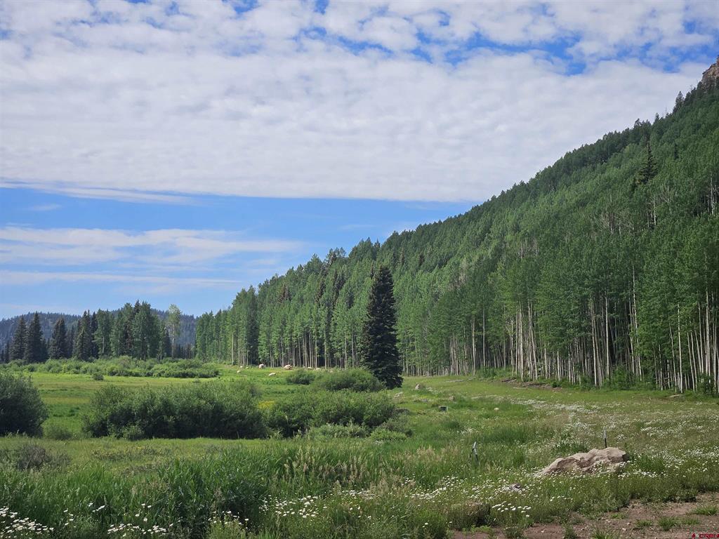 167 Meadowview Drive