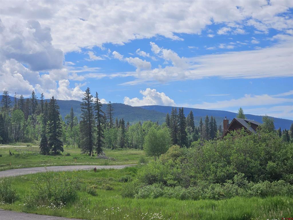 167 Meadowview Drive