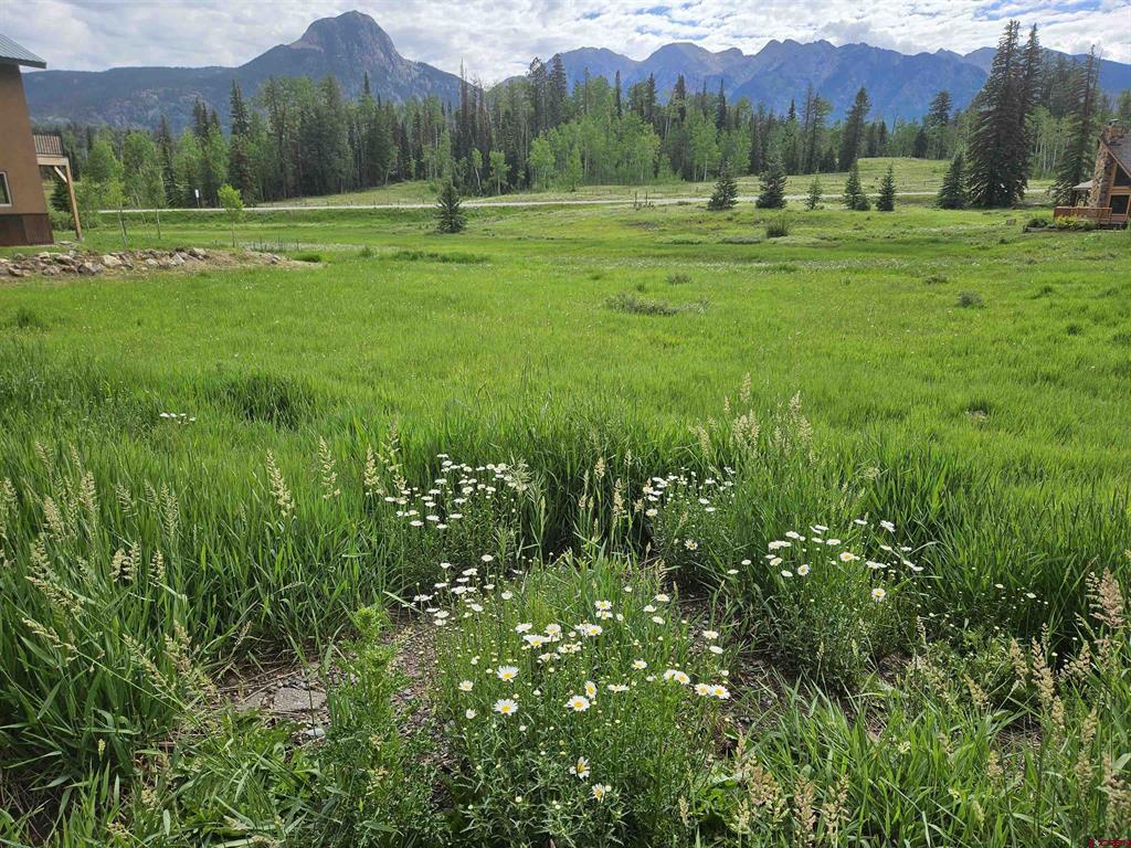 167 Meadowview Drive