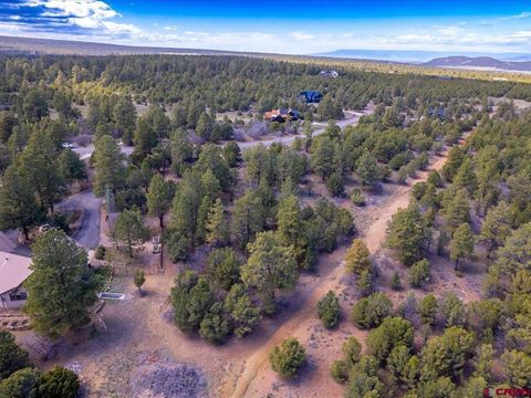 Property photo of Tbd Lot 556 Badger Trail N., Ridgway, CO 81432