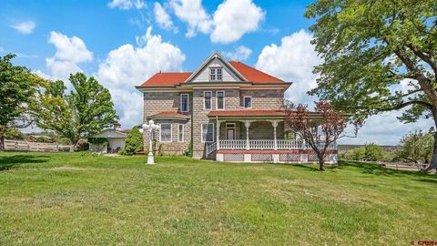1567 N Grand Mesa Drive Cedaredge CO 81413