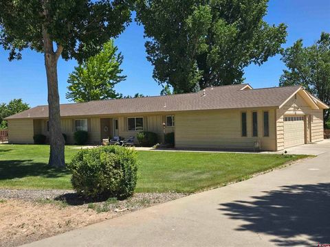 62592 North Star Drive Montrose CO 81403