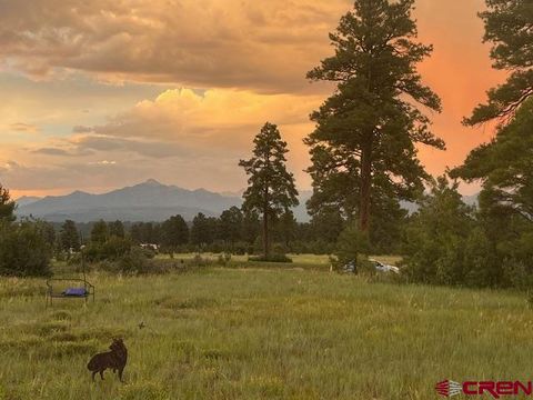 75 Vista San Juan Pagosa Springs CO 81147