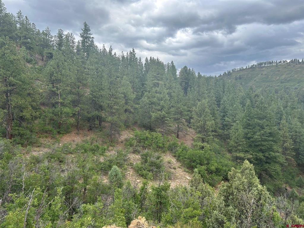 17235 W US HWY 160