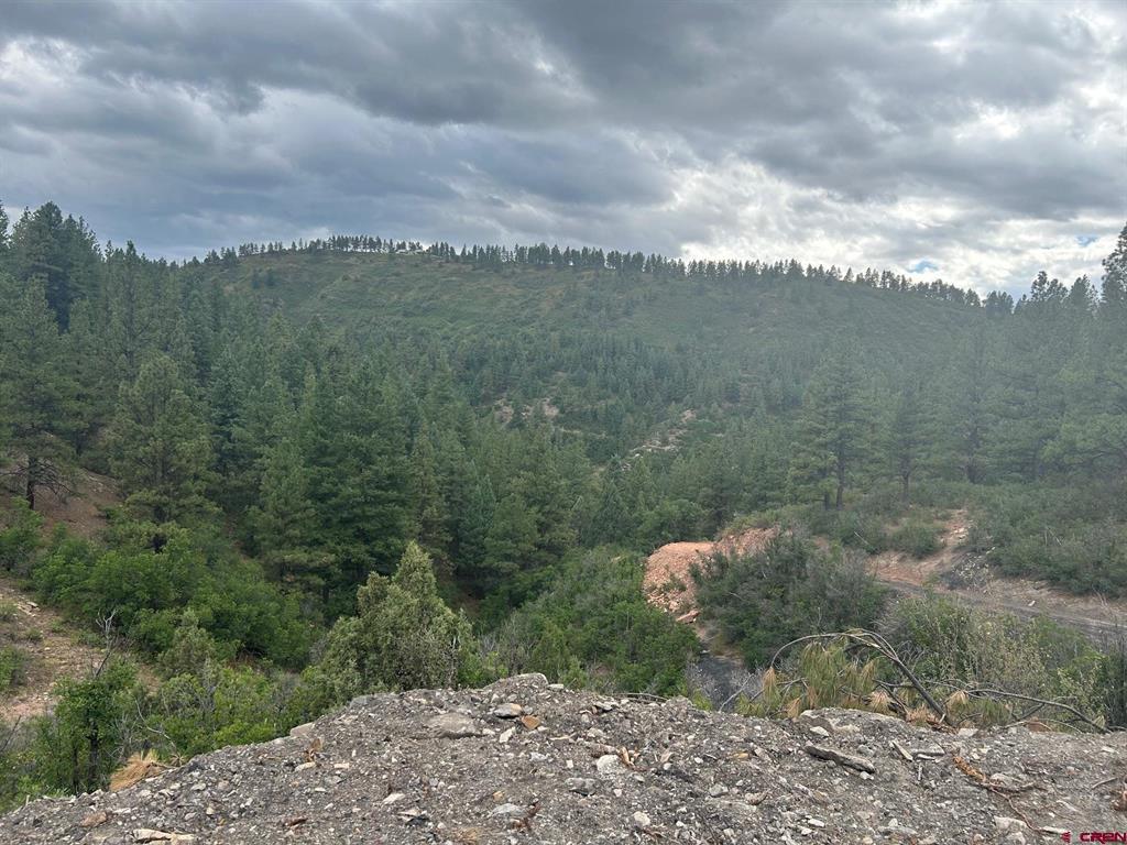 17235 W US HWY 160