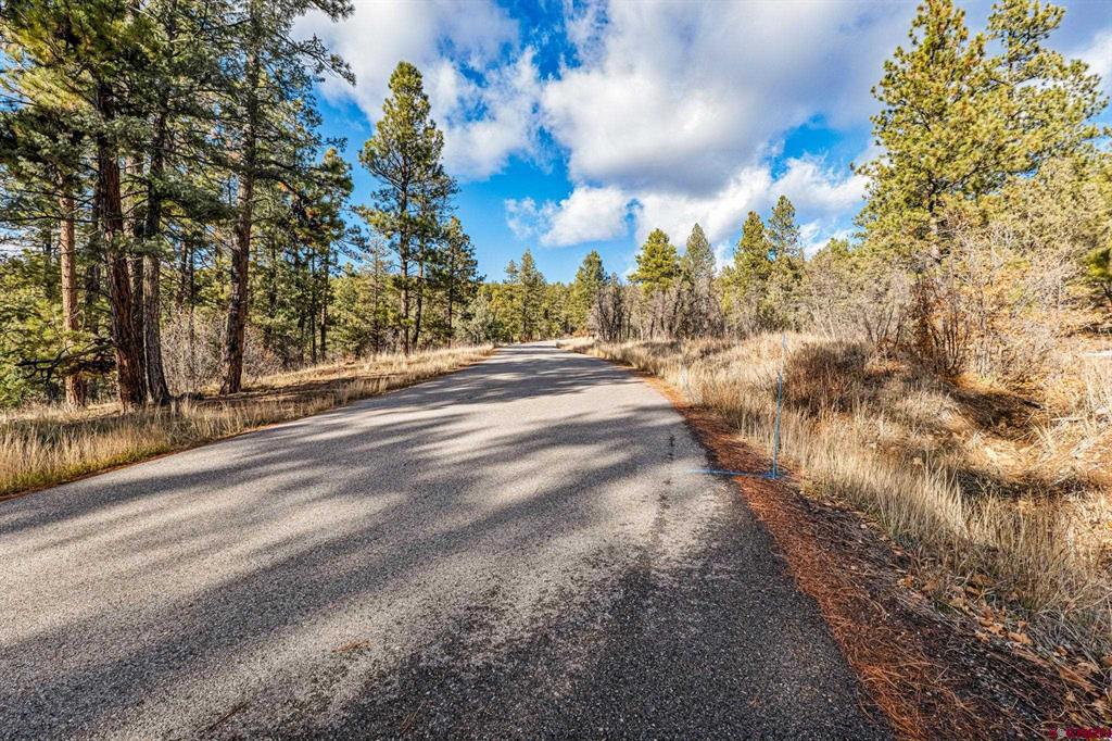 701 Durango Cliffs Drive