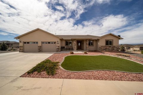 1323 Peppertree Drive Montrose CO 81401