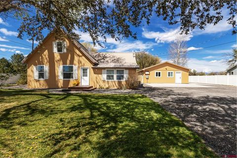 727 1550th Road Delta CO 81416