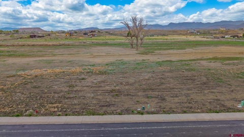 Photo of 19 Apple Grove Street, Montrose, CO 81401 (MLS # 838722)