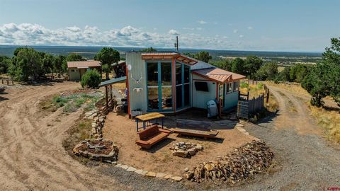 Photo of 668 Pinyon Ridge Road, Montrose, CO 81403 (MLS # 828345)