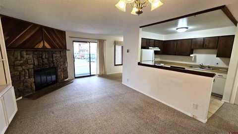 1206 Avenida Del Sol 313 Durango CO 81301