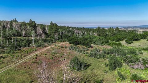 Property photo of Tbd Road N, Rico, CO 81332