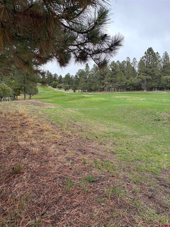 TBD Lot 439 S Badger Trail