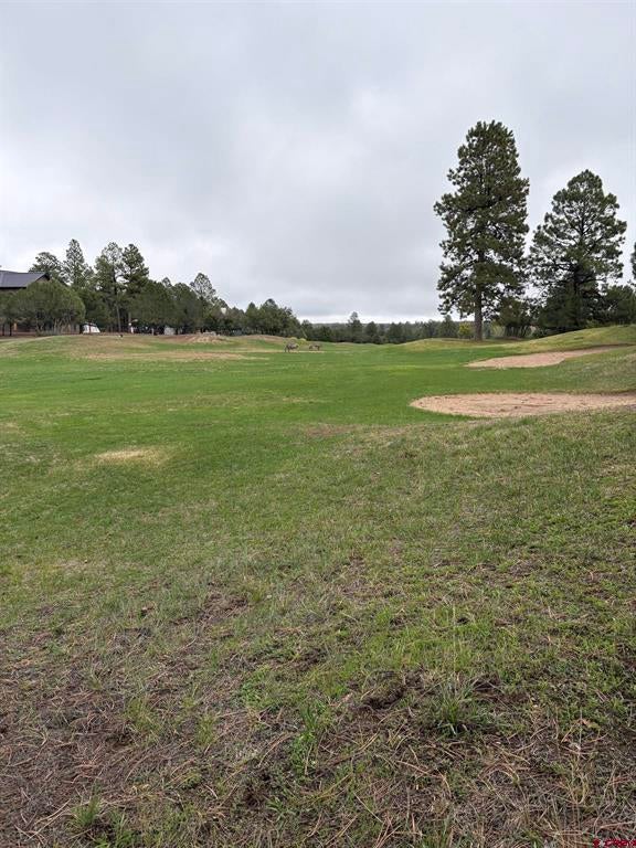 TBD Lot 439 S Badger Trail