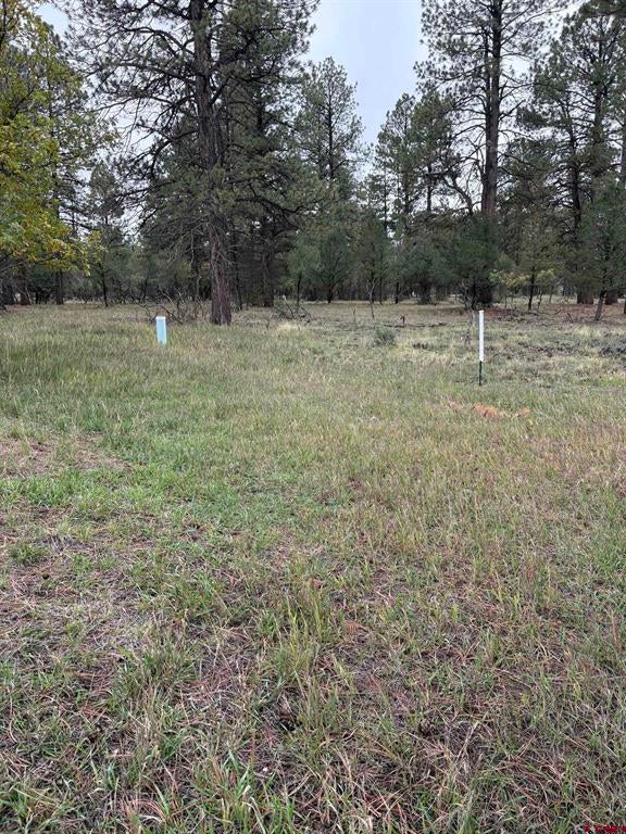 TBD Lot 439 S Badger Trail
