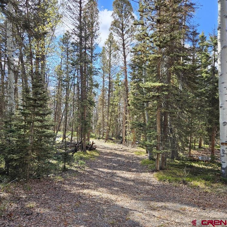 97 Aspen Trail
