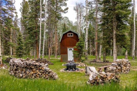 Photo of 601 Balsam Road, Cimarron, CO 81220 (MLS # 835929)