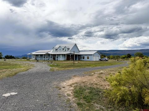 1552 SW Painted Fork Road Cedaredge CO 81413