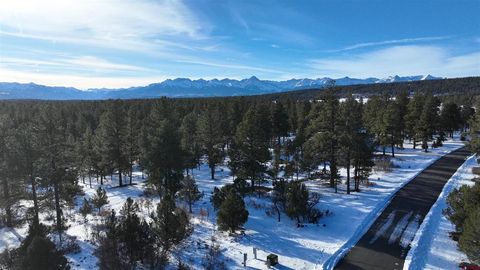 Photo of 141 Big Canyon Point, Ridgway, CO 81432 (MLS # 831411)