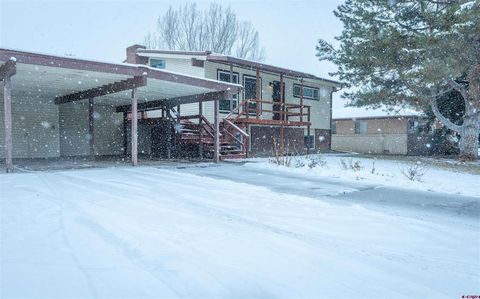 2212 CAMBRIDGE Street Montrose CO 81401