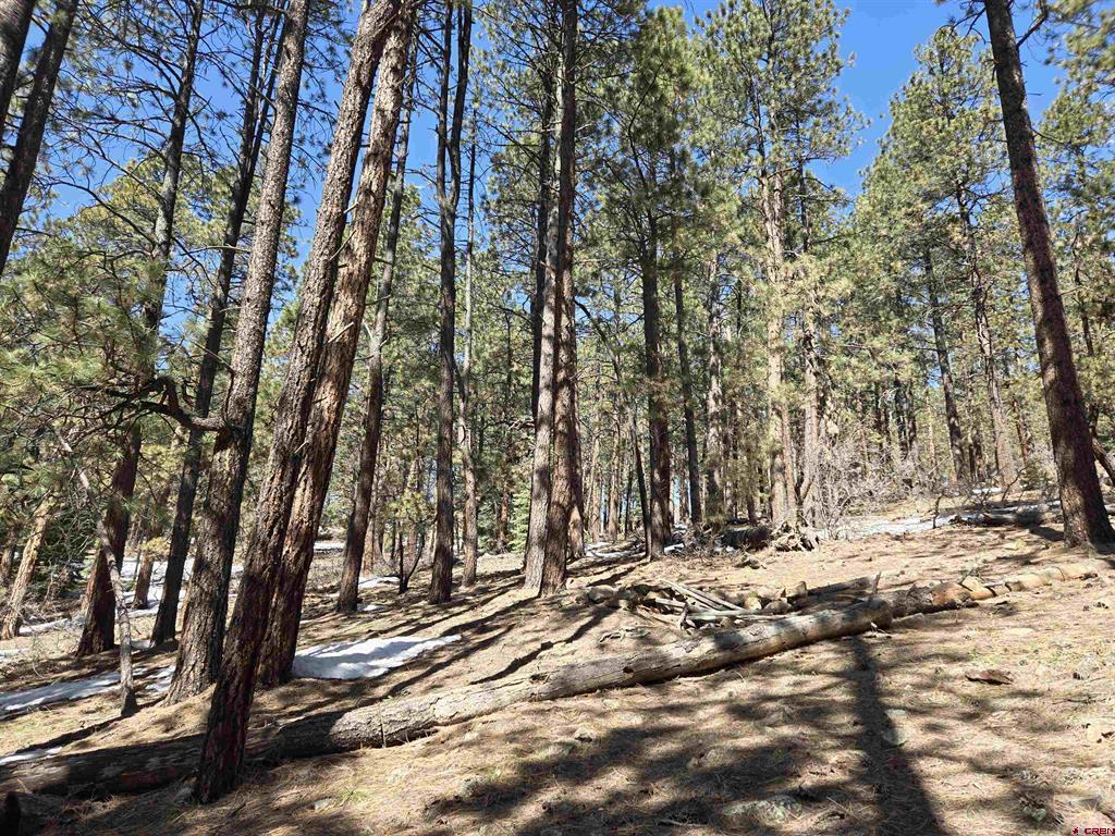 Lot 9 Groves Drive - Photo 3