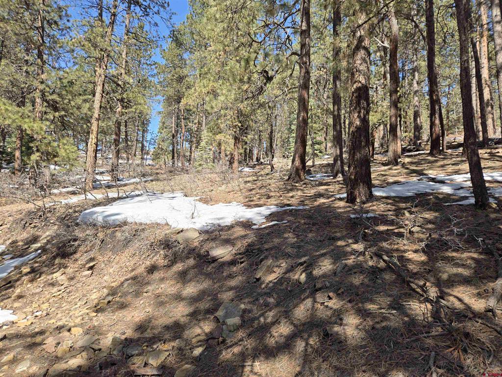 Lot 9 Groves Drive - Photo 4