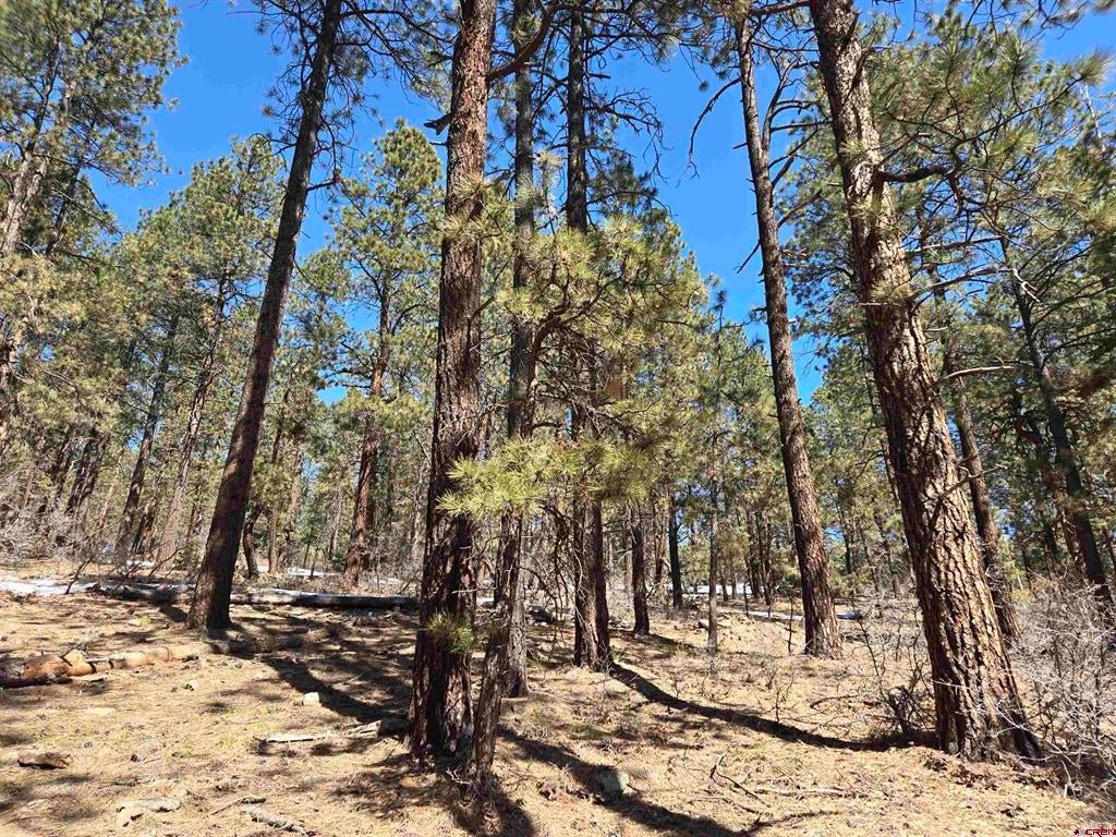 Lot 9 Groves Drive