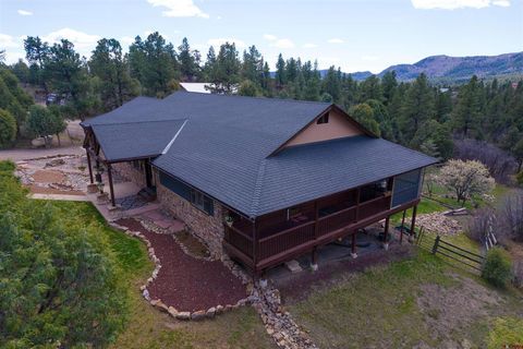 Photo of 457 Cameron Place, Pagosa Springs, CO 81147 (MLS # 833482)