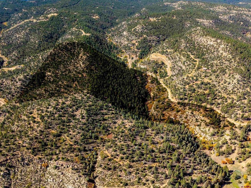 14990 Timber Ridge Road