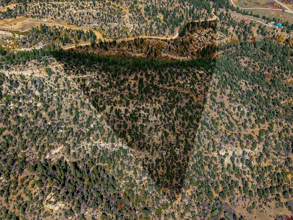 14990 Timber Ridge Road