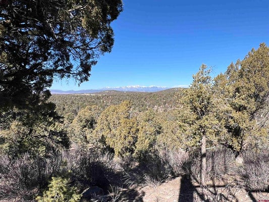 7371 COUNTY ROAD 310, IGNACIO, CO 81137 - Image 57cd7fbf2781aa447e54fa91e2430893/1741246005