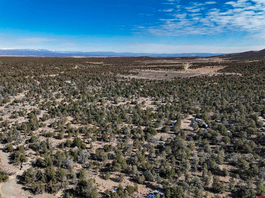 7371 County Road 310