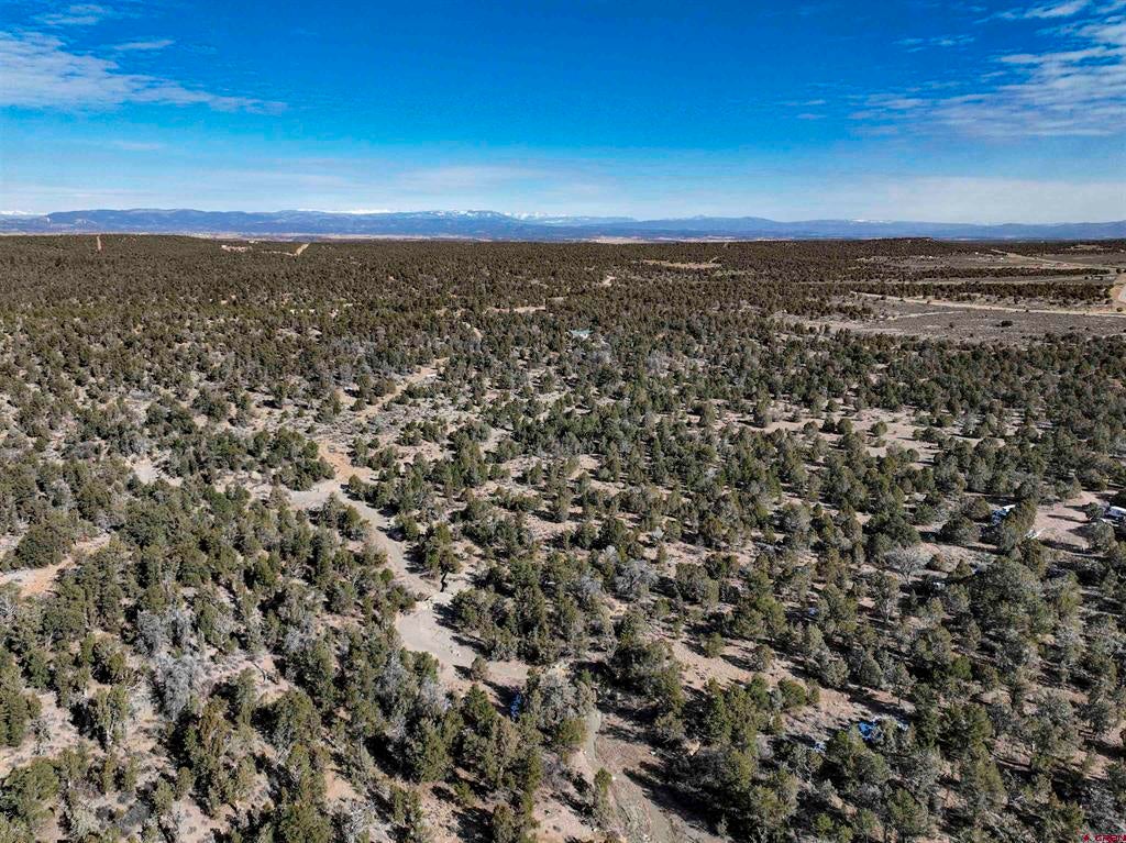 7371 County Road 310