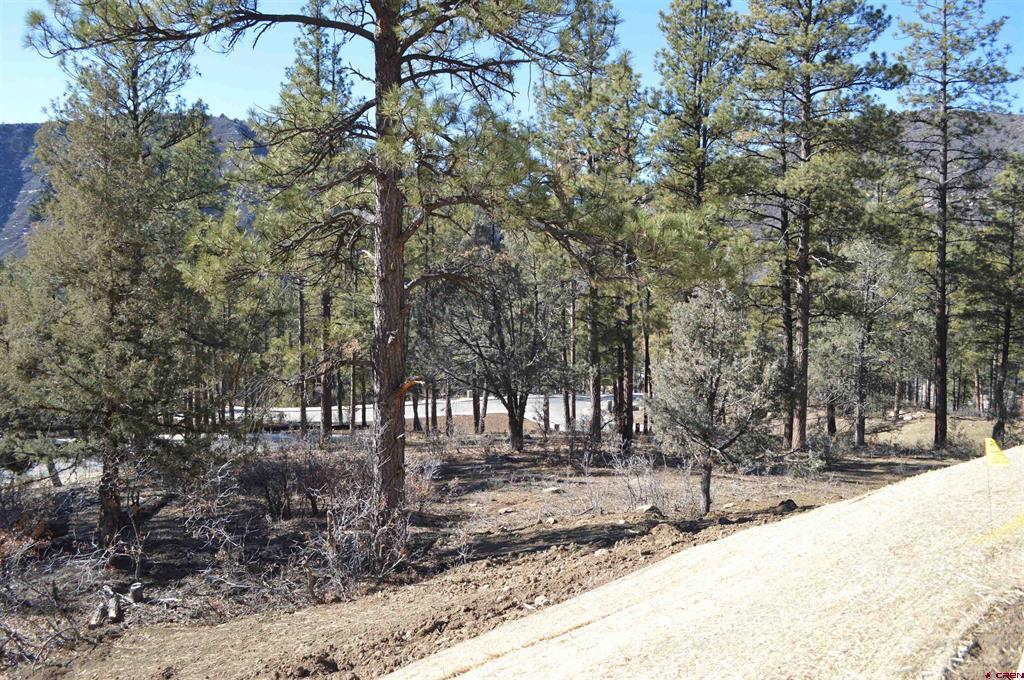 53 Snowdrop Ct. (Lot 140)