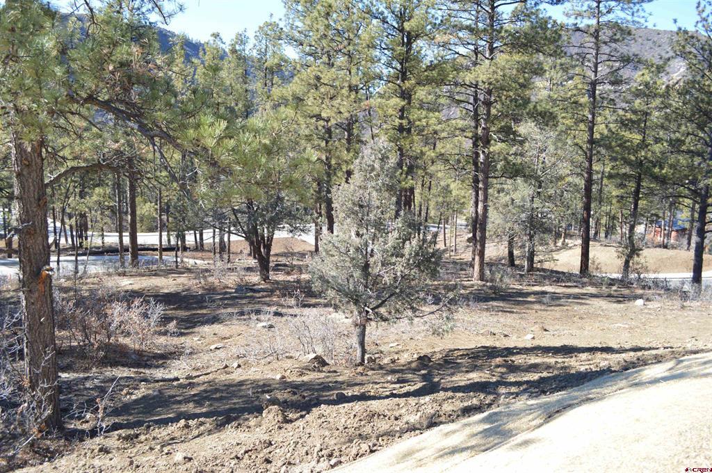 53 Snowdrop Ct. (Lot 140)