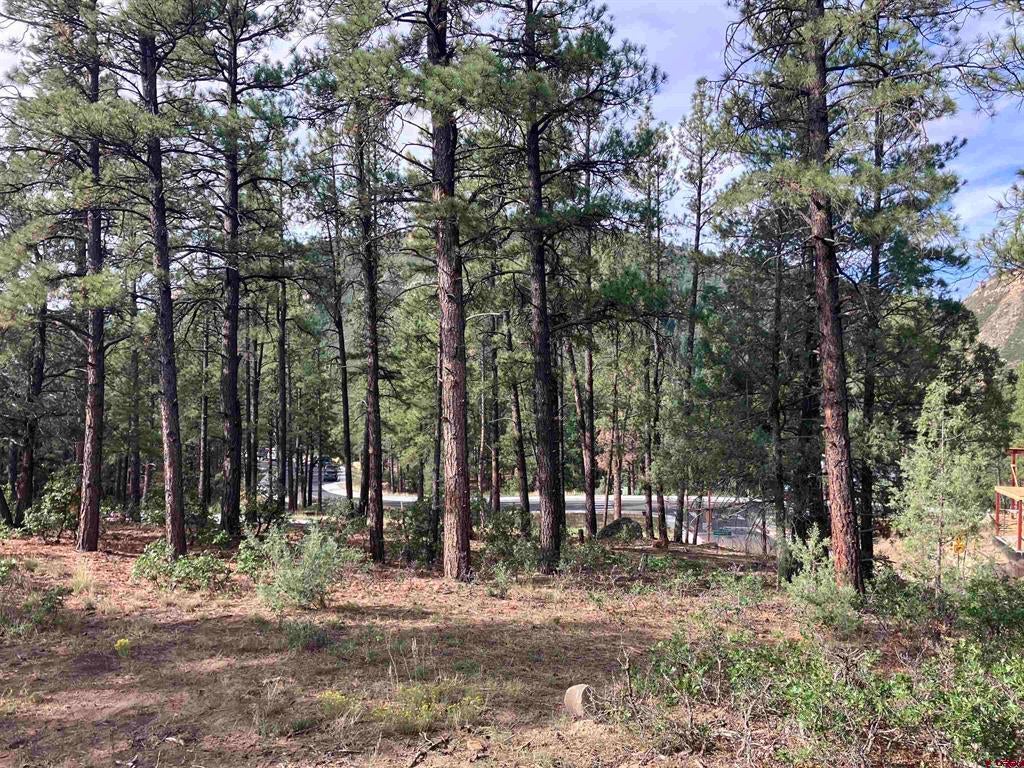 53 Snowdrop Ct. (Lot 140)