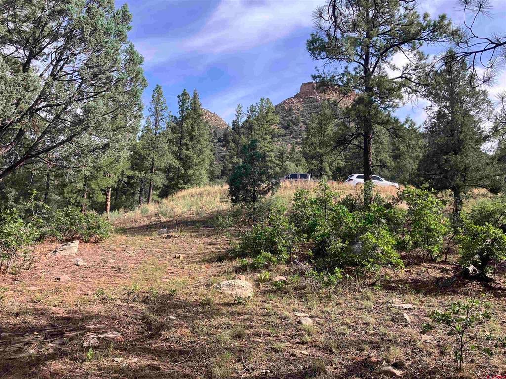 53 Snowdrop Ct. (Lot 140)