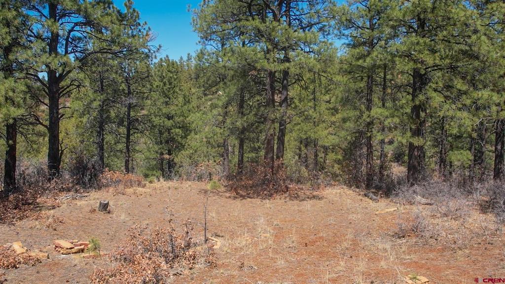 Photo 1 of 12 — 149 Engineer Point, Pagosa Springs, CO 81147