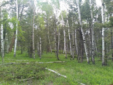 525 Crest Drive Cimarron CO 81220
