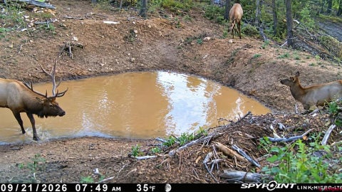 Photo of TBD Government Springs, Montrose, CO 81403 (MLS # 839369)