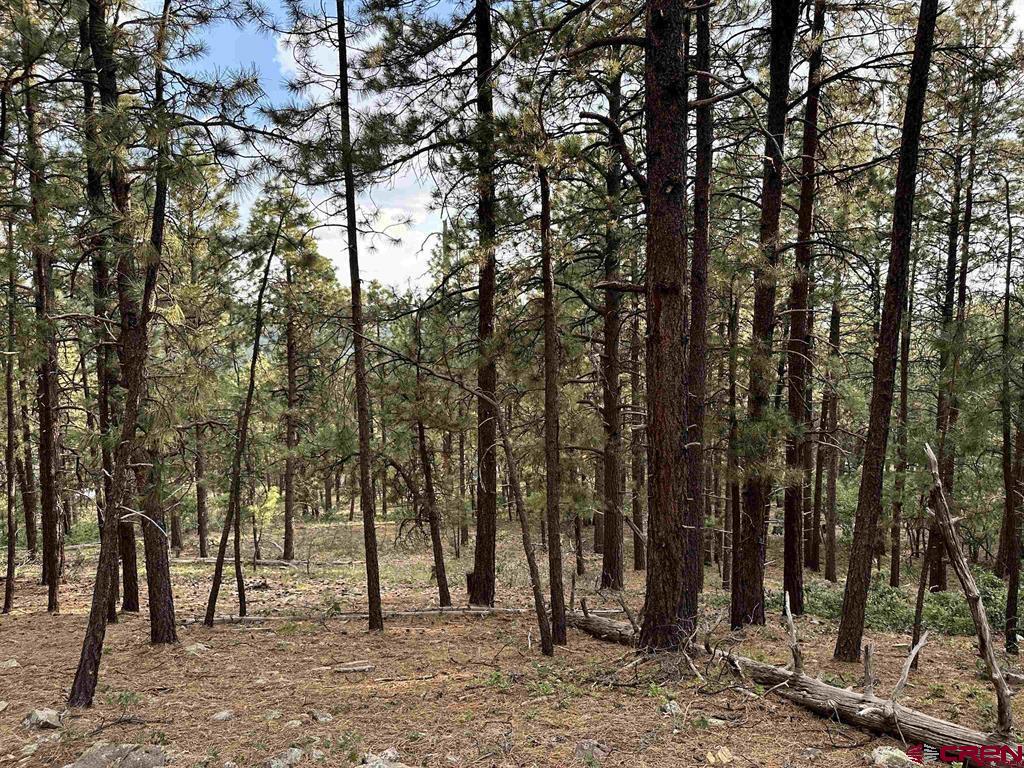 Photo 1 of 17 — 259 Hillside Circle, Bayfield, CO 81122