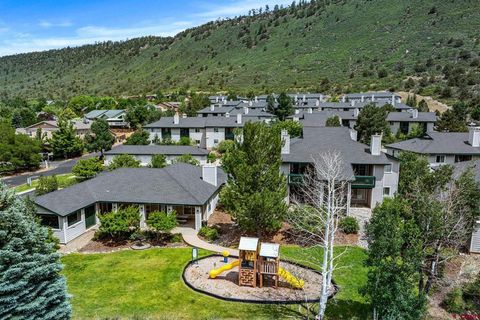 1100 Goeglein Gulch Road 133 Durango CO 81301